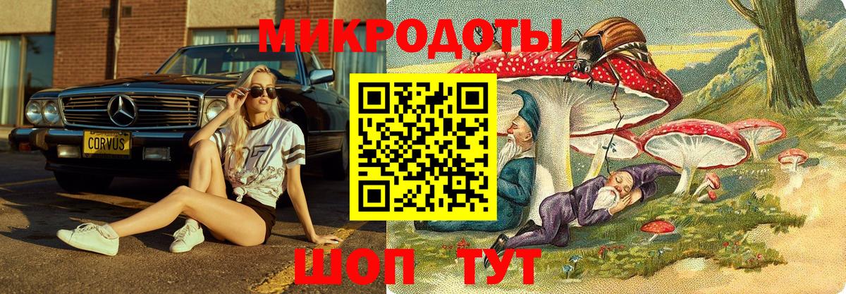 Рассказово  Псилоцибиновые грибы GOLDEN TEACHER  закладка  Вход с VPN 